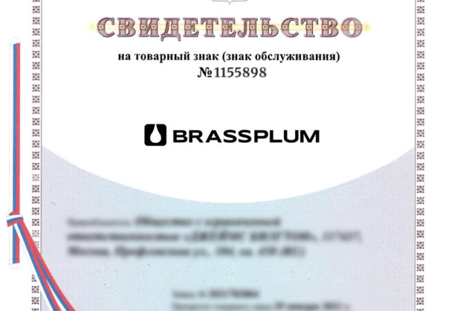 Как из непроходного названия мы сделали зарегистрированный бренд «Brassplum»